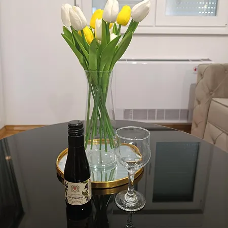 Apartment Sunny Stan Na Dan Bijeljina